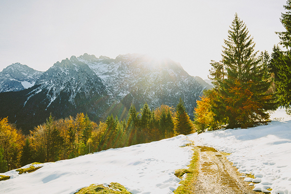 呼啦啦了的个人主页（封面预览） - 主页封面设置 - 站酷设计师呼啦啦了原创素材 - 站酷ZCOOL