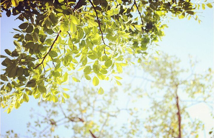 鄧厚森的個(gè)人主頁(yè)（封面預(yù)覽） - 主頁(yè)封面設(shè)置 - 站酷設(shè)計(jì)師鄧厚森原創(chuàng)素材 - 站酷ZCOOL