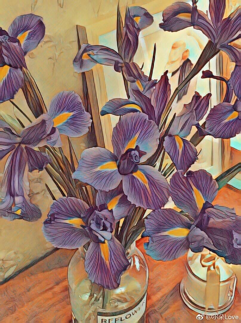 Ssssammi的个人主页（封面预览） - 主页封面设置 - 站酷设计师Ssssammi原创素材 - 站酷ZCOOL