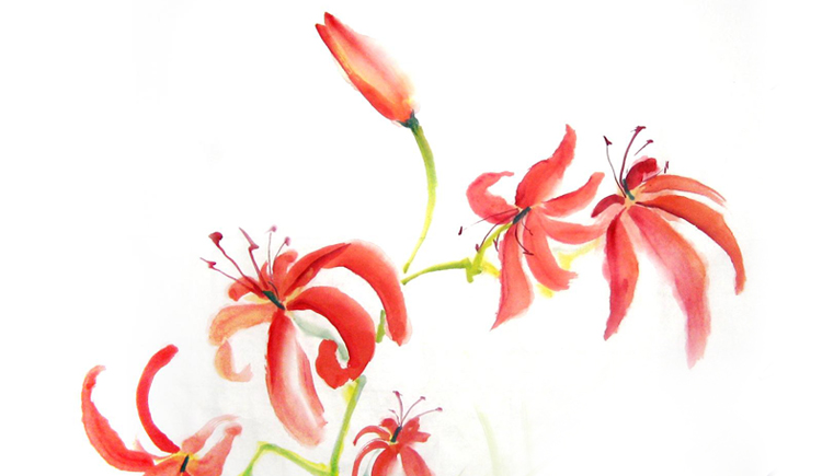 兽人武俊的个人主页（封面预览） - 主页封面设置 - 站酷设计师兽人武俊原创素材 - 站酷ZCOOL