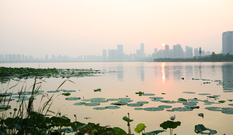 东言的个人主页（封面预览） - 主页封面设置 - 站酷设计师东言原创素材 - 站酷ZCOOL