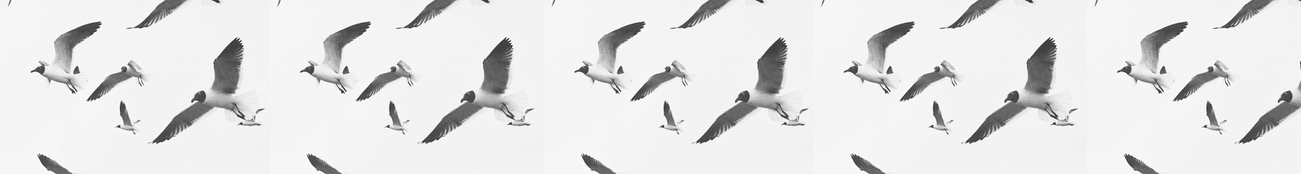 Vision_的个人主页（封面预览） - 主页封面设置 - 站酷设计师Vision_原创素材 - 站酷ZCOOL