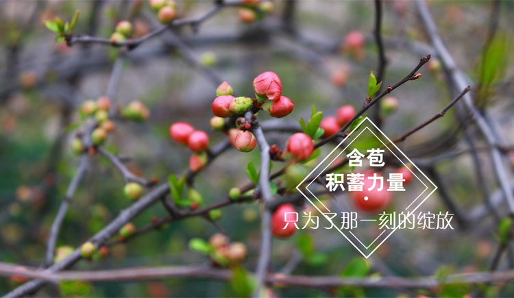 小峰峰1900的个人主页（封面预览） - 主页封面设置 - 站酷设计师小峰峰1900原创素材 - 站酷ZCOOL