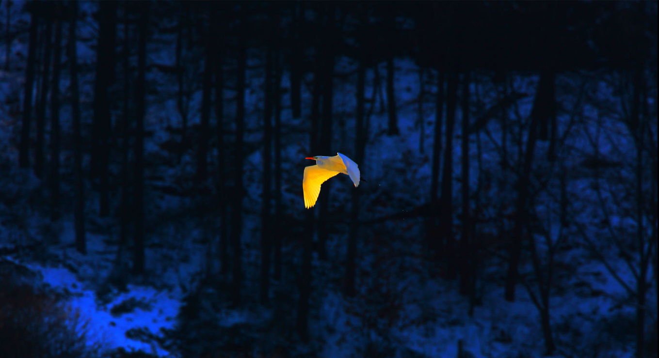 山狂黑笑的個(gè)人主頁（封面預(yù)覽） - 主頁封面設(shè)置 - 站酷設(shè)計(jì)師山狂黑笑原創(chuàng)素材 - 站酷ZCOOL