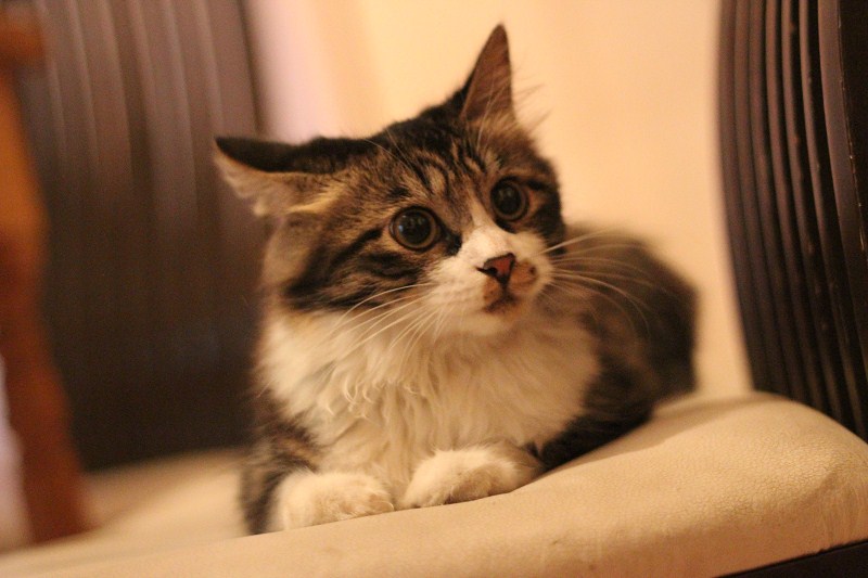 ROUO的个人主页（封面预览） - 主页封面设置 - 站酷设计师ROUO原创素材 - 站酷ZCOOL