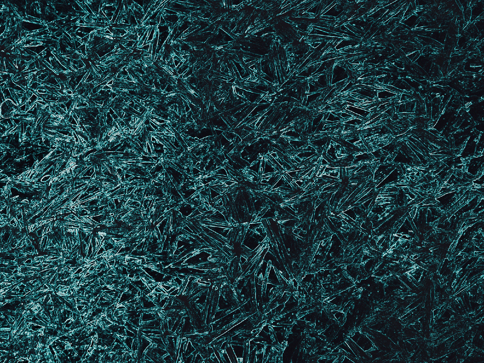 龚star的个人主页（封面预览） - 主页封面设置 - 站酷设计师龚star原创素材 - 站酷ZCOOL