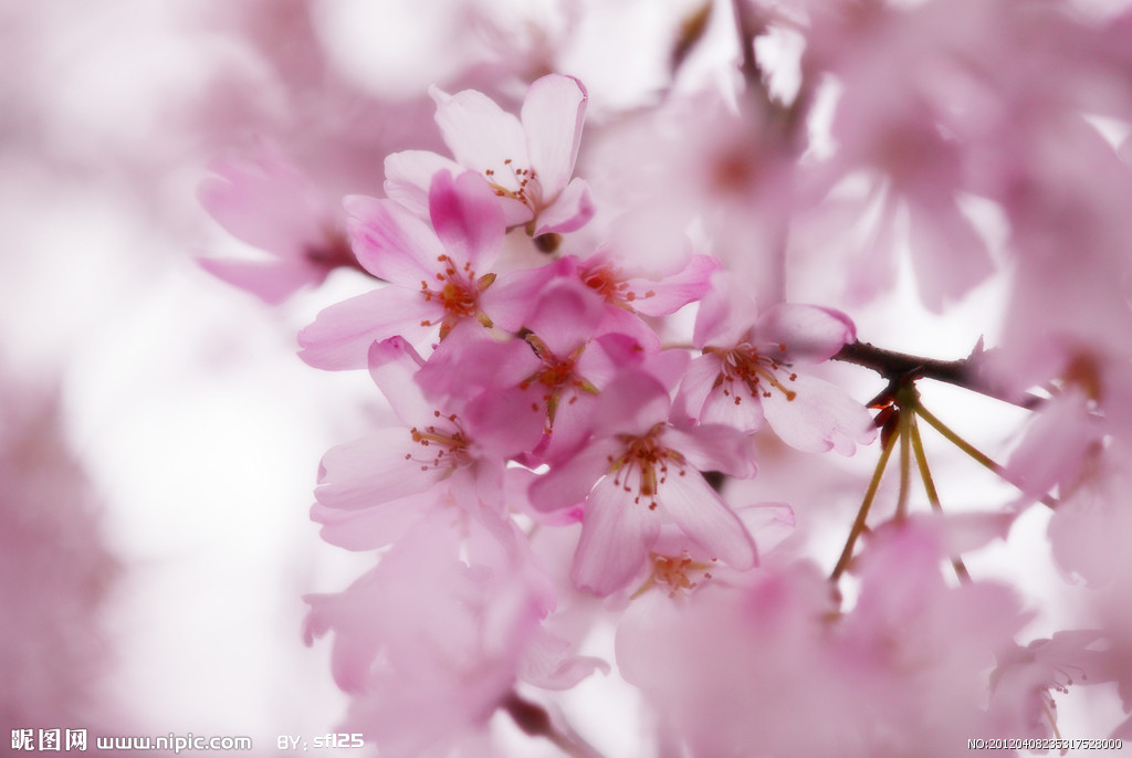 平凡的小流浪的個(gè)人主頁(yè)（封面預(yù)覽） - 主頁(yè)封面設(shè)置 - 站酷設(shè)計(jì)師平凡的小流浪原創(chuàng)素材 - 站酷ZCOOL