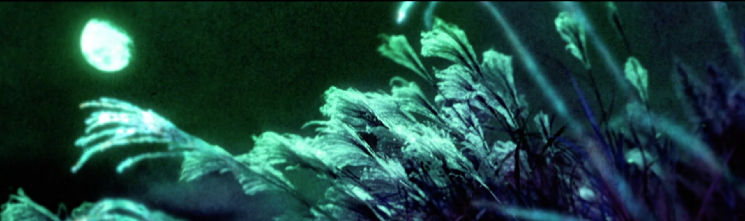 Elevenko的个人主页（封面预览） - 主页封面设置 - 站酷设计师Elevenko原创素材 - 站酷ZCOOL