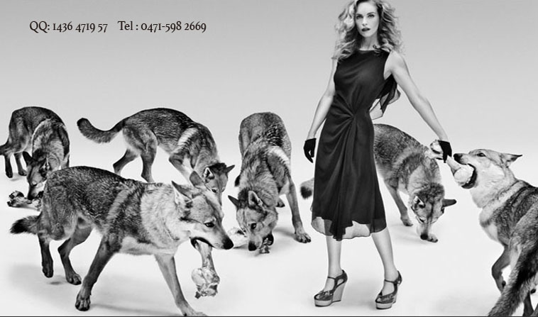 烏蘭塔娜的個人主頁（封面預覽） - 主頁封面設(shè)置 - 站酷設(shè)計師烏蘭塔娜原創(chuàng)素材 - 站酷ZCOOL