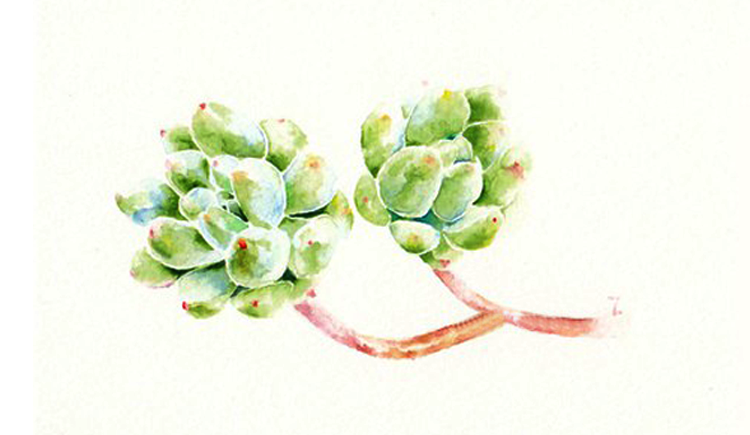 冉冉猫的个人主页（封面预览） - 主页封面设置 - 站酷设计师冉冉猫原创素材 - 站酷ZCOOL