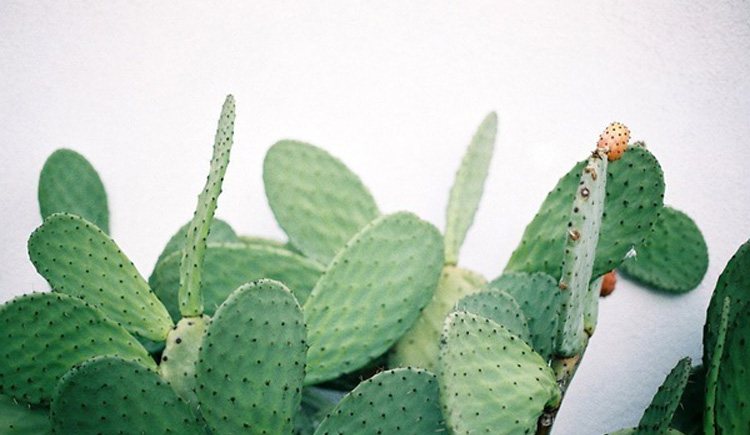 美艺儿的个人主页（封面预览） - 主页封面设置 - 站酷设计师美艺儿原创素材 - 站酷ZCOOL