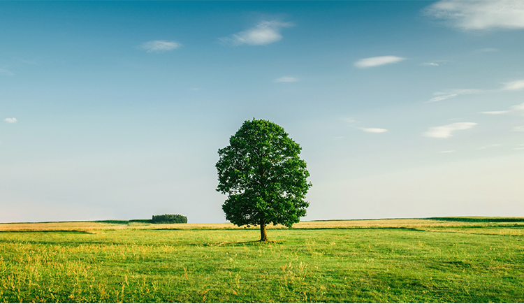 Markcool的个人主页（封面预览） - 主页封面设置 - 站酷设计师Markcool原创素材 - 站酷ZCOOL