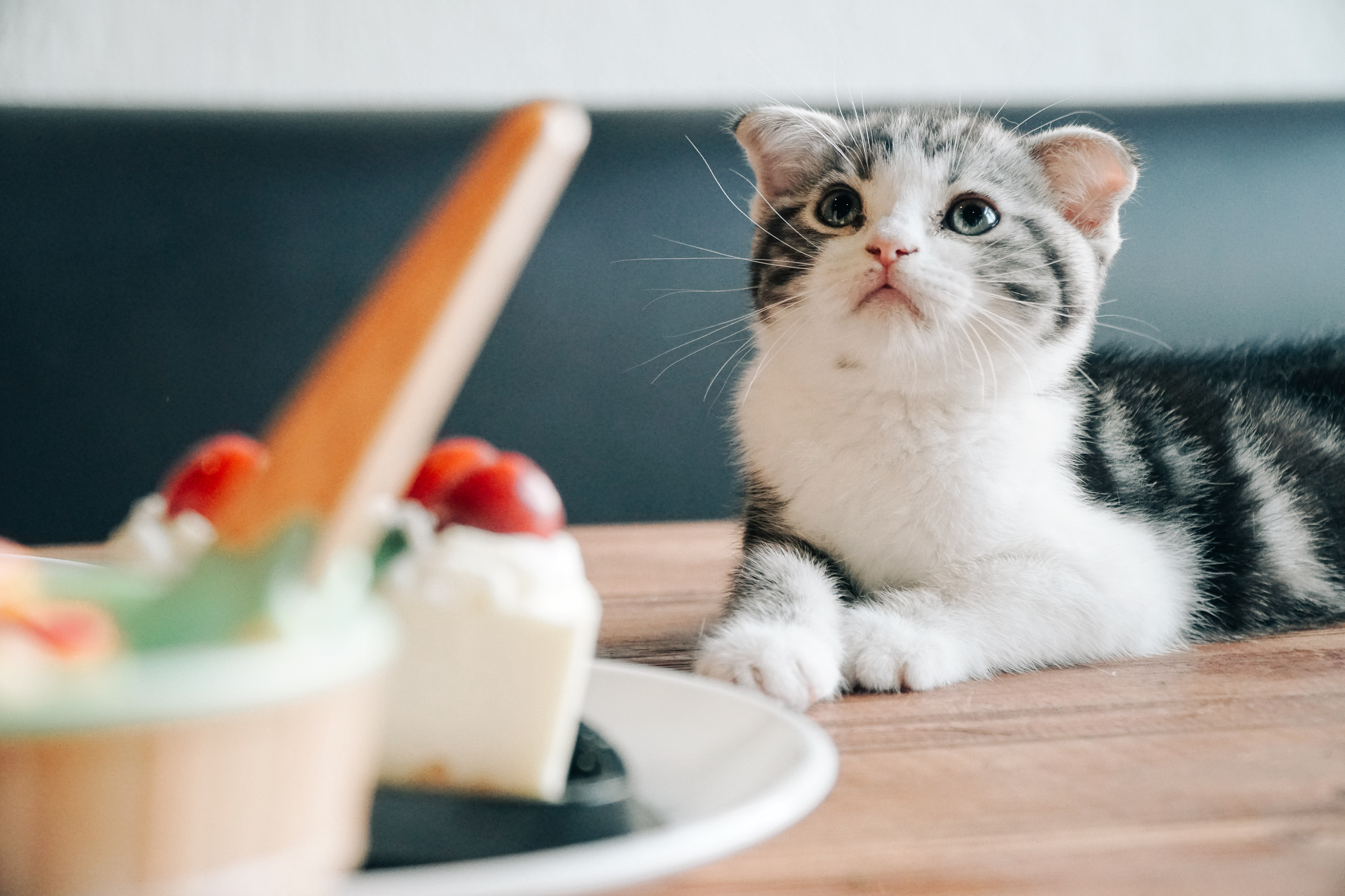 Yandex_yan的個(gè)人主頁（封面預(yù)覽） - 主頁封面設(shè)置 - 站酷設(shè)計(jì)師Yandex_yan原創(chuàng)素材 - 站酷ZCOOL