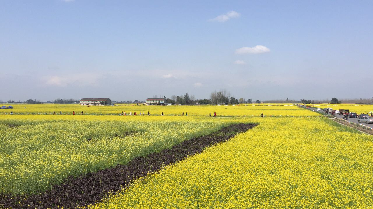 huangxianzhen的个人主页（封面预览） - 主页封面设置 - 站酷设计师huangxianzhen原创素材 - 站酷ZCOOL