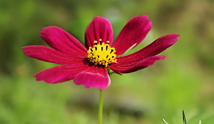 卡卡吖吖的個(gè)人主頁（封面預(yù)覽） - 主頁封面設(shè)置 - 站酷設(shè)計(jì)師卡卡吖吖原創(chuàng)素材 - 站酷ZCOOL