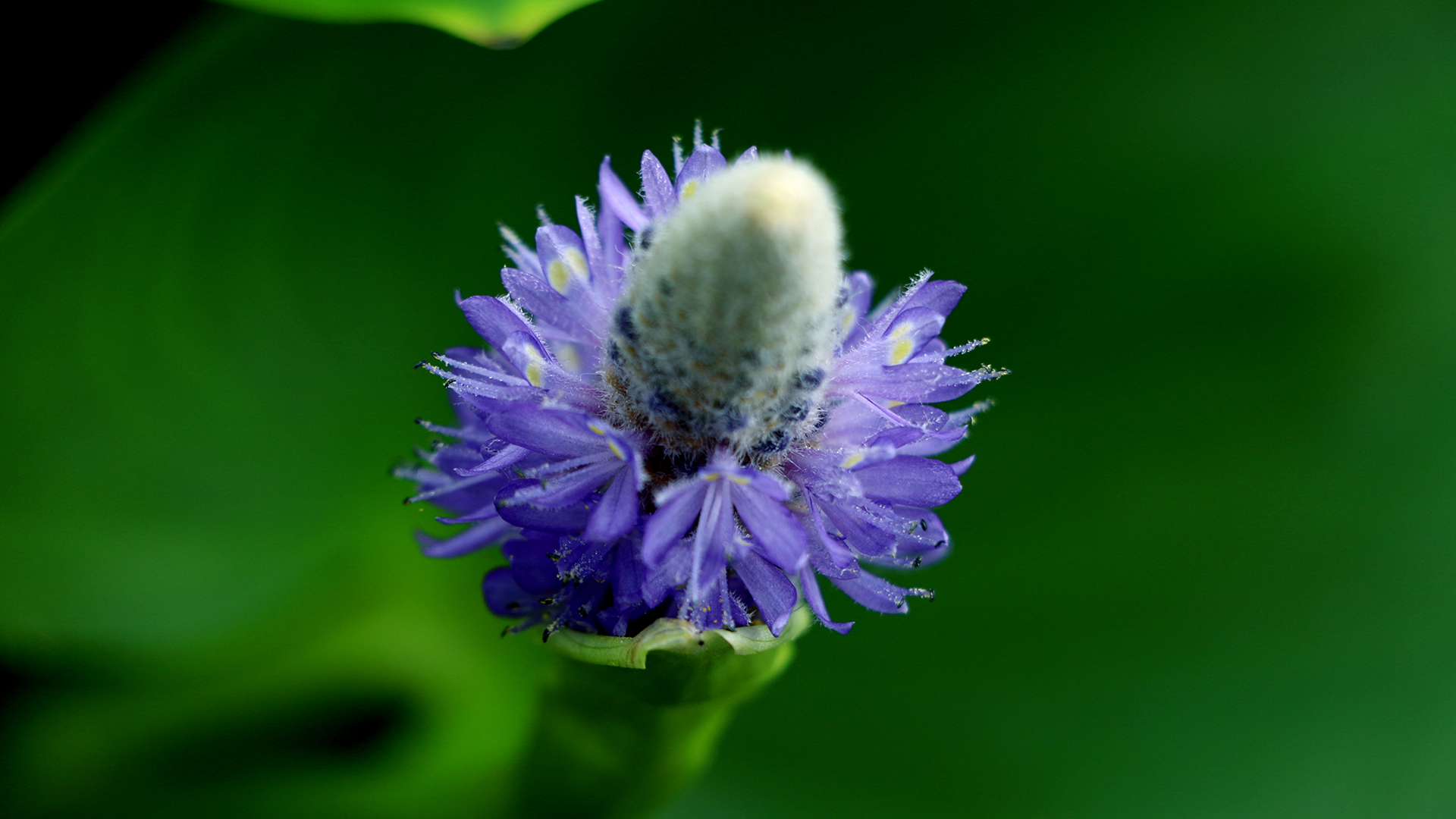 君若笙的个人主页（封面预览） - 主页封面设置 - 站酷设计师君若笙原创素材 - 站酷ZCOOL