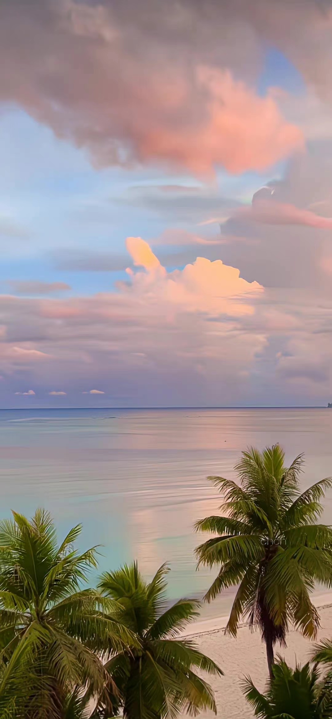 菠菠萝也的个人主页（封面预览） - 主页封面设置 - 站酷设计师菠菠萝也原创素材 - 站酷ZCOOL