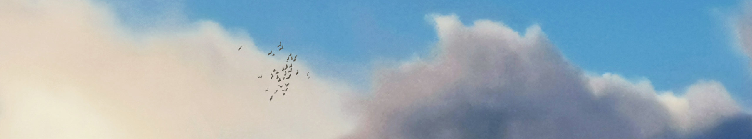 KX林开心的个人主页（封面预览） - 主页封面设置 - 站酷设计师KX林开心原创素材 - 站酷ZCOOL