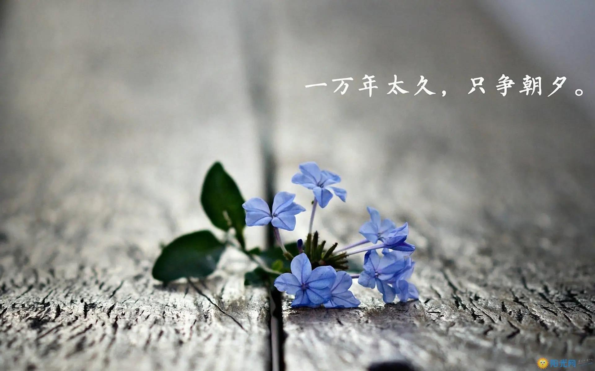 隐隐作派的个人主页（封面预览） - 主页封面设置 - 站酷设计师隐隐作派原创素材 - 站酷ZCOOL