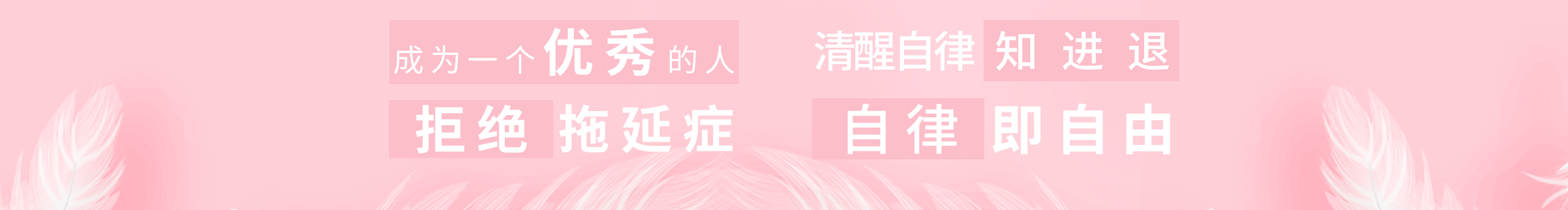 叶落抚尘的个人主页（封面预览） - 主页封面设置 - 站酷设计师叶落抚尘原创素材 - 站酷ZCOOL