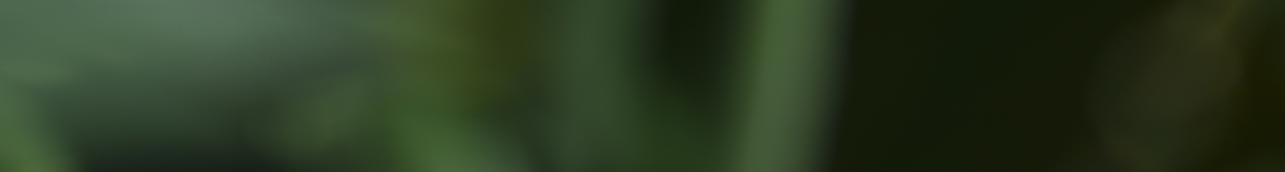 攝影老伍的個人主頁（封面預覽） - 主頁封面設置 - 站酷設計師攝影老伍原創(chuàng)素材 - 站酷ZCOOL