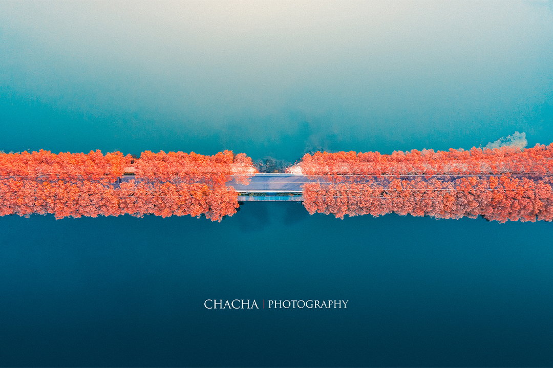 沙力的個(gè)人主頁（封面預(yù)覽） - 主頁封面設(shè)置 - 站酷設(shè)計(jì)師沙力原創(chuàng)素材 - 站酷ZCOOL