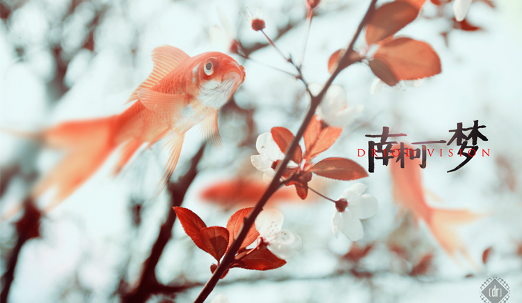 怪兽满山爬dr的个人主页（封面预览） - 主页封面设置 - 站酷设计师怪兽满山爬dr原创素材 - 站酷ZCOOL