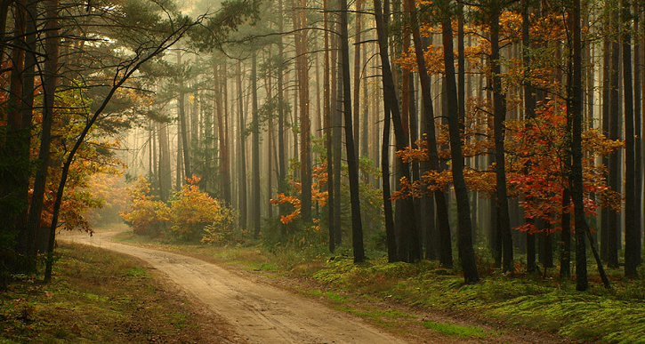 格拉瑞爾的個人主頁（封面預(yù)覽） - 主頁封面設(shè)置 - 站酷設(shè)計(jì)師格拉瑞爾原創(chuàng)素材 - 站酷ZCOOL