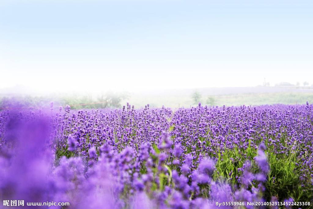 M桃子的个人主页（封面预览） - 主页封面设置 - 站酷设计师M桃子原创素材 - 站酷ZCOOL