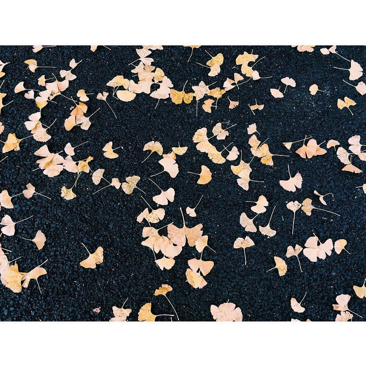 夜街冷空气的个人主页（封面预览） - 主页封面设置 - 站酷设计师夜街冷空气原创素材 - 站酷ZCOOL