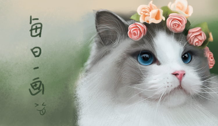 三水吉喵的個(gè)人主頁(yè)（封面預(yù)覽） - 主頁(yè)封面設(shè)置 - 站酷設(shè)計(jì)師三水吉喵原創(chuàng)素材 - 站酷ZCOOL