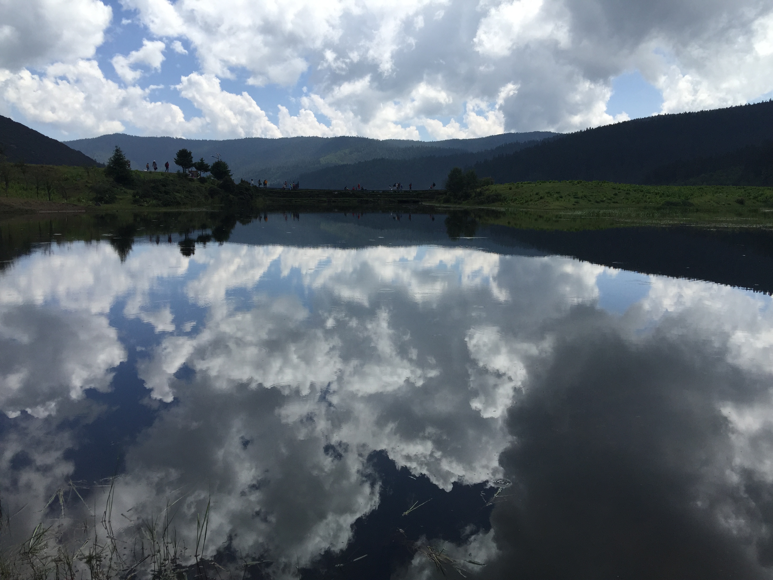萌马儿的个人主页（封面预览） - 主页封面设置 - 站酷设计师萌马儿原创素材 - 站酷ZCOOL