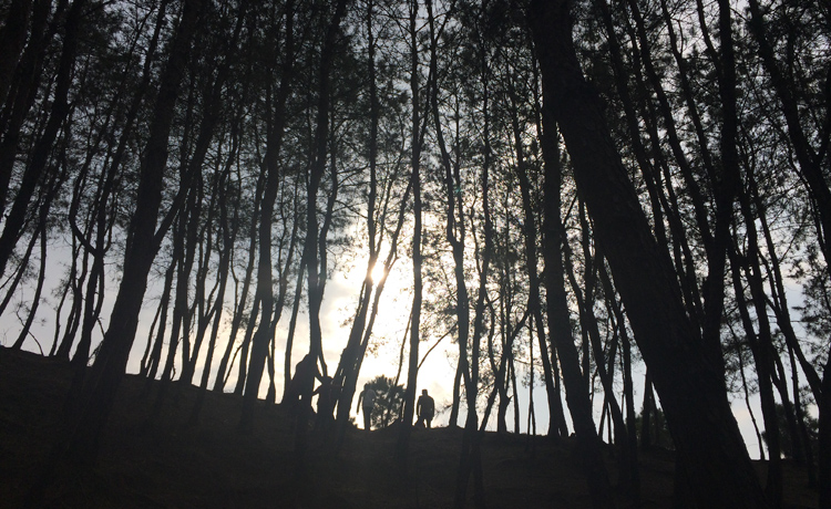 skysea0606的个人主页（封面预览） - 主页封面设置 - 站酷设计师skysea0606原创素材 - 站酷ZCOOL