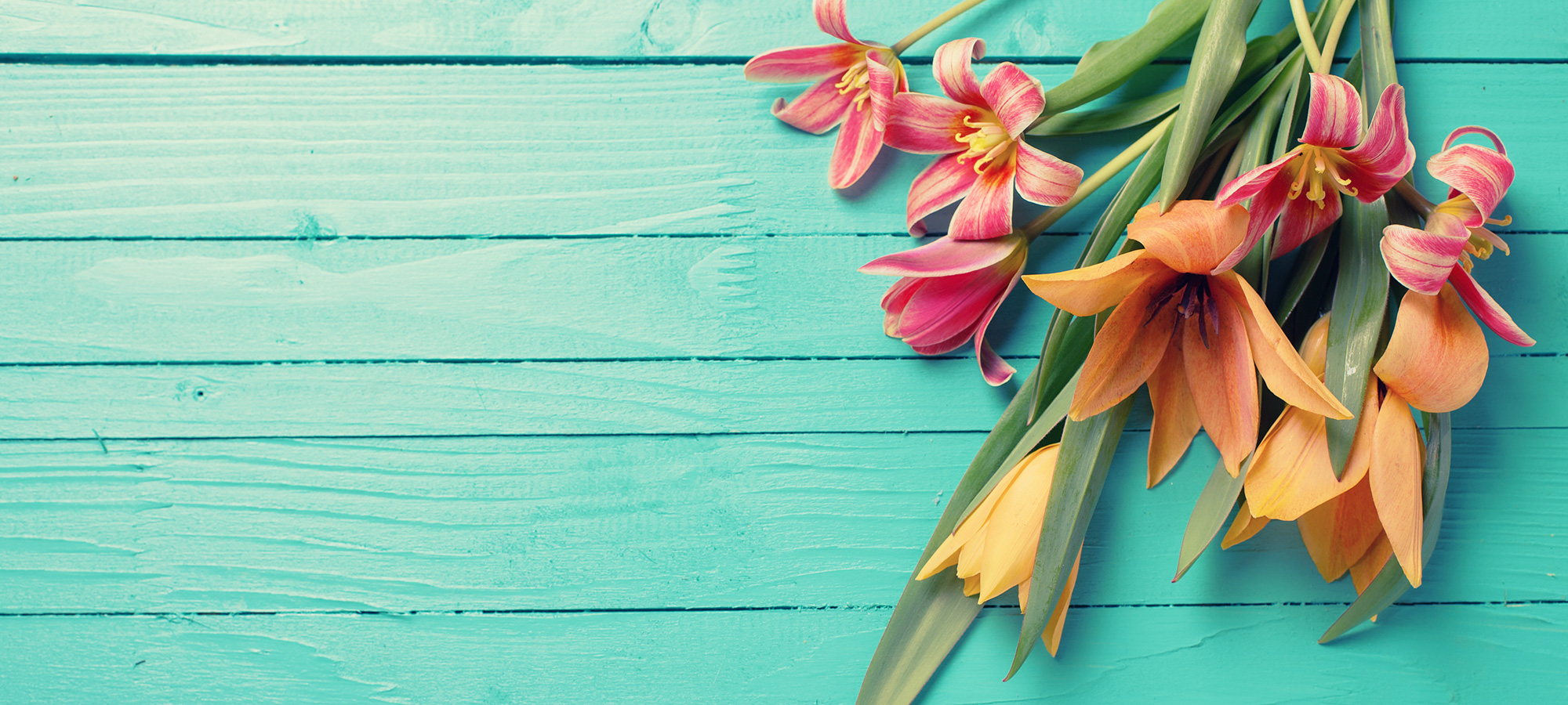 CHY_微風(fēng)不燥的個人主頁（封面預(yù)覽） - 主頁封面設(shè)置 - 站酷設(shè)計師CHY_微風(fēng)不燥原創(chuàng)素材 - 站酷ZCOOL