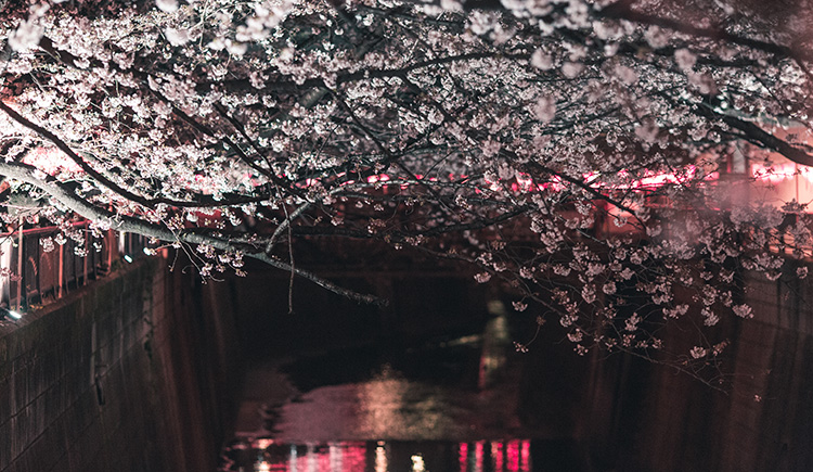 邓有柱的个人主页（封面预览） - 主页封面设置 - 站酷设计师邓有柱原创素材 - 站酷ZCOOL