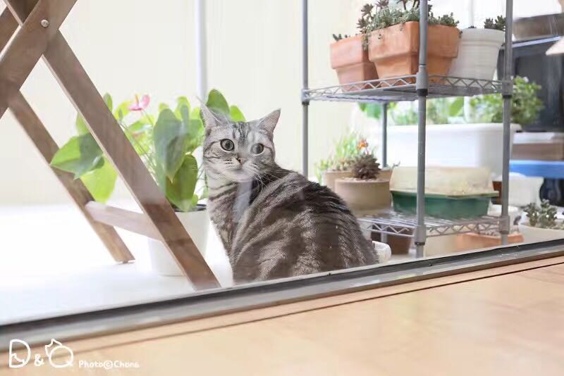 xi_fencha的个人主页（封面预览） - 主页封面设置 - 站酷设计师xi_fencha原创素材 - 站酷ZCOOL