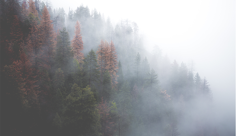 小小的小菜鸟的个人主页（封面预览） - 主页封面设置 - 站酷设计师小小的小菜鸟原创素材 - 站酷ZCOOL