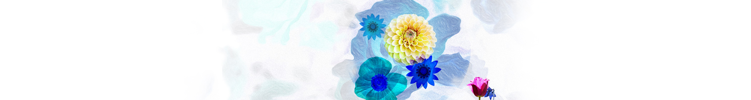 二井只是一口井的个人主页（封面预览） - 主页封面设置 - 站酷设计师二井只是一口井原创素材 - 站酷ZCOOL