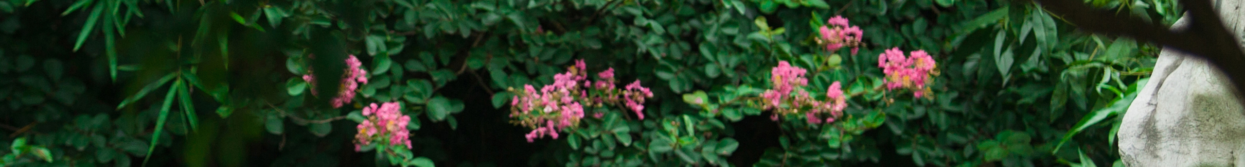 靜曦煙雨的個人主頁（封面預覽） - 主頁封面設置 - 站酷設計師靜曦煙雨原創(chuàng)素材 - 站酷ZCOOL