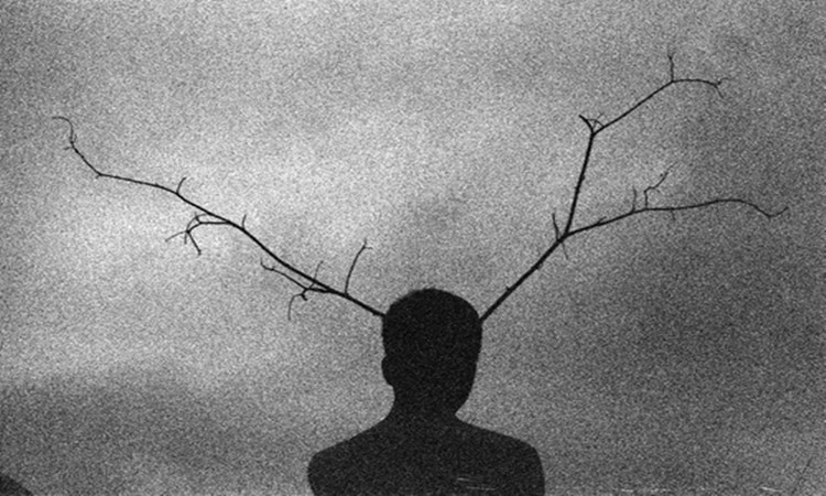 Xalam的个人主页（封面预览） - 主页封面设置 - 站酷设计师Xalam原创素材 - 站酷ZCOOL