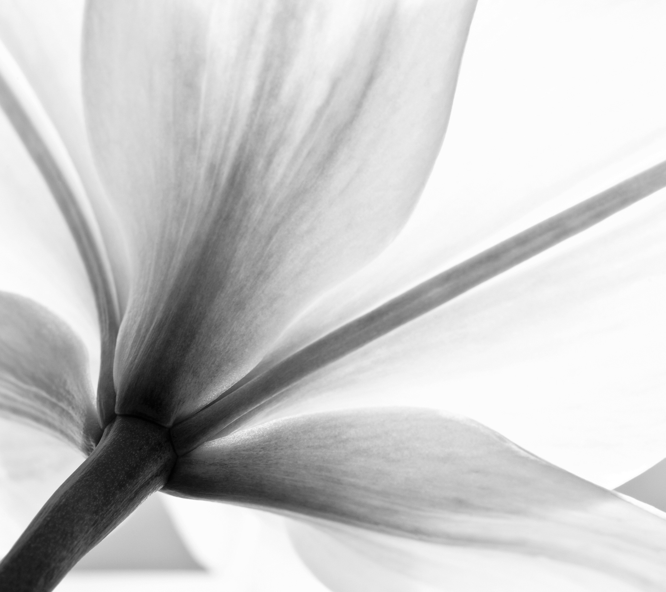 我芳的个人主页（封面预览） - 主页封面设置 - 站酷设计师我芳原创素材 - 站酷ZCOOL