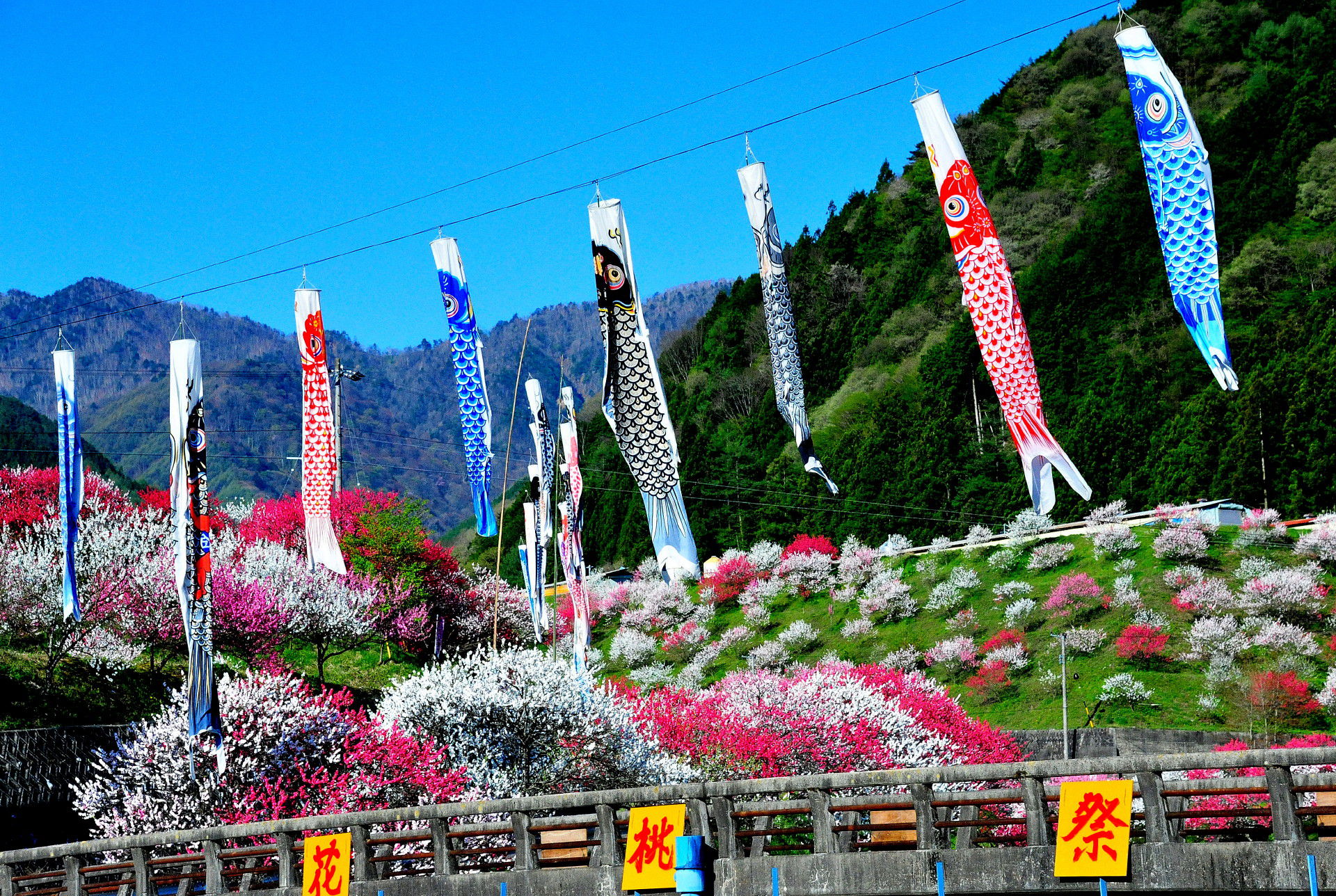 馬述漢的個(gè)人主頁（封面預(yù)覽） - 主頁封面設(shè)置 - 站酷設(shè)計(jì)師馬述漢原創(chuàng)素材 - 站酷ZCOOL