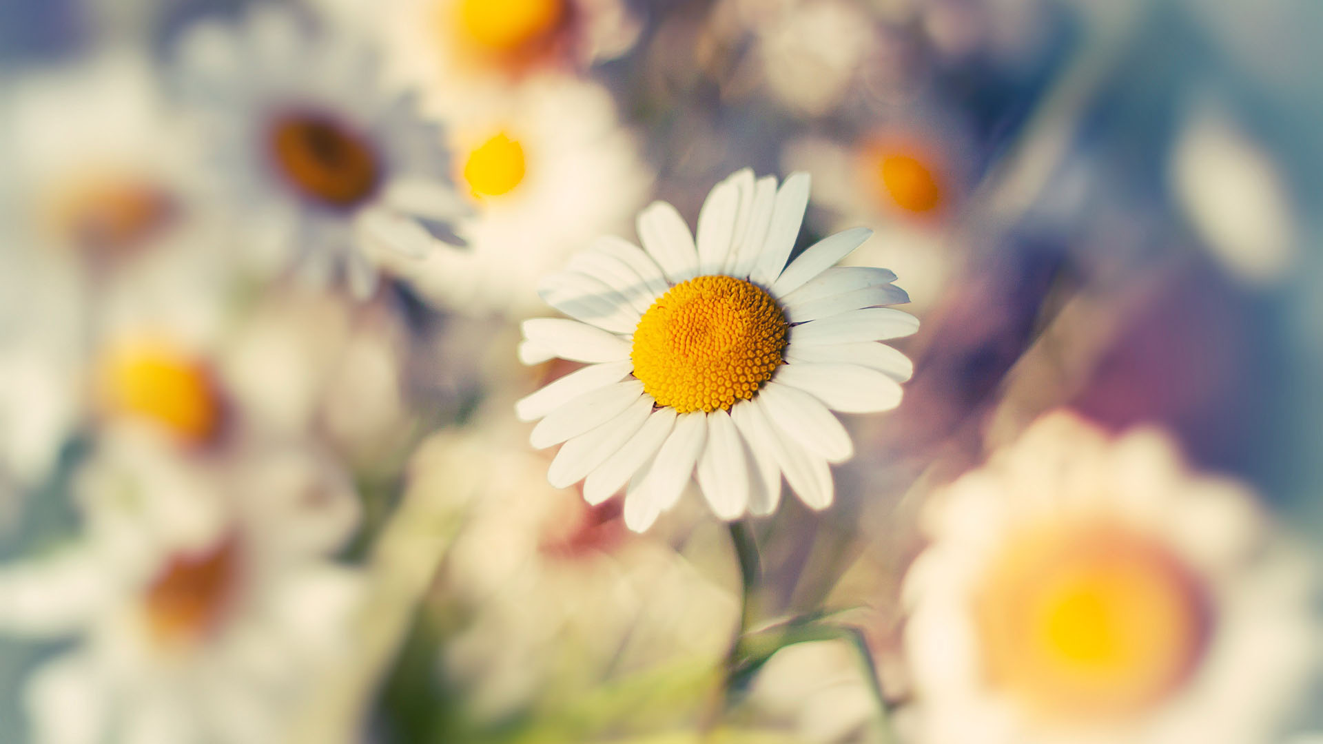 起起起點(diǎn)的個(gè)人主頁(yè)（封面預(yù)覽） - 主頁(yè)封面設(shè)置 - 站酷設(shè)計(jì)師起起起點(diǎn)原創(chuàng)素材 - 站酷ZCOOL