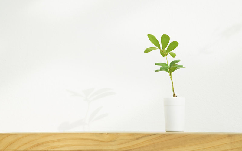 元立設(shè)計的個人主頁（封面預(yù)覽） - 主頁封面設(shè)置 - 站酷設(shè)計師元立設(shè)計原創(chuàng)素材 - 站酷ZCOOL