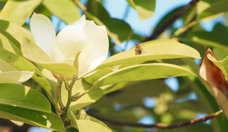 專業(yè)的業(yè)余愛好的個(gè)人主頁（封面預(yù)覽） - 主頁封面設(shè)置 - 站酷設(shè)計(jì)師專業(yè)的業(yè)余愛好原創(chuàng)素材 - 站酷ZCOOL