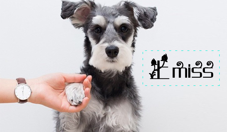 rightear的个人主页（封面预览） - 主页封面设置 - 站酷设计师rightear原创素材 - 站酷ZCOOL