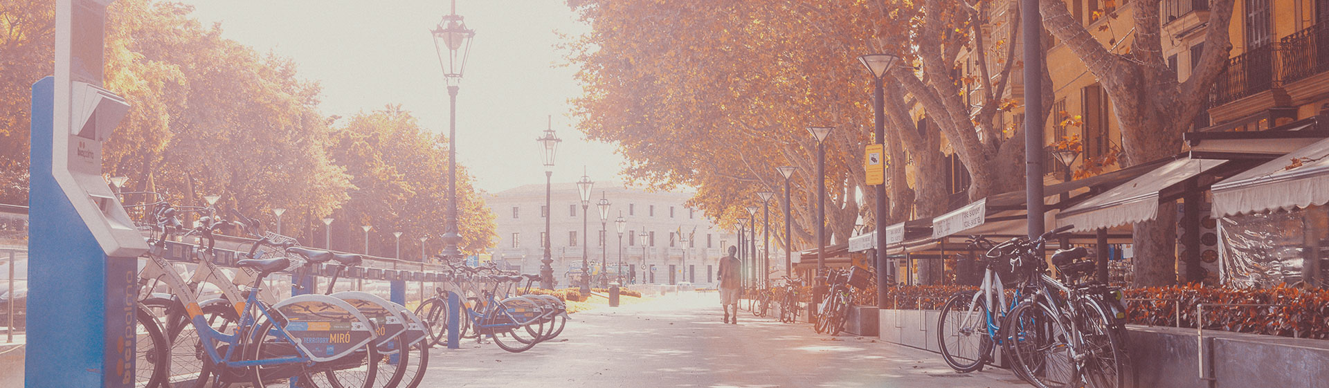 66的天的个人主页（封面预览） - 主页封面设置 - 站酷设计师66的天原创素材 - 站酷ZCOOL