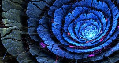 安夏i夏的个人主页（封面预览） - 主页封面设置 - 站酷设计师安夏i夏原创素材 - 站酷ZCOOL