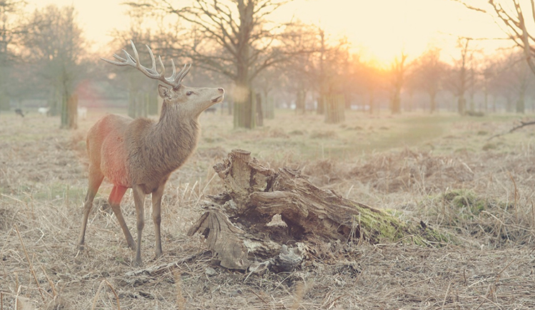 bauhausm的個人主頁（封面預(yù)覽） - 主頁封面設(shè)置 - 站酷設(shè)計師bauhausm原創(chuàng)素材 - 站酷ZCOOL