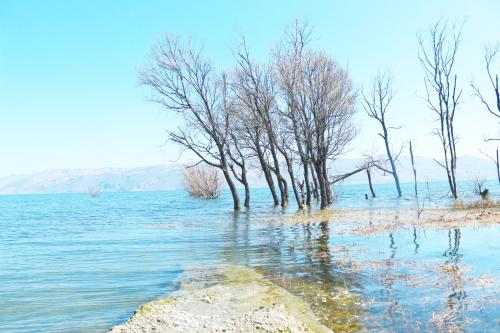 千里之約的個(gè)人主頁(yè)（封面預(yù)覽） - 主頁(yè)封面設(shè)置 - 站酷設(shè)計(jì)師千里之約原創(chuàng)素材 - 站酷ZCOOL